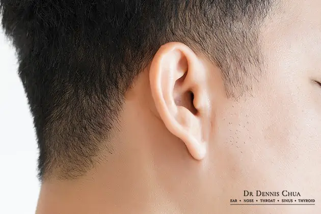 a man's ear