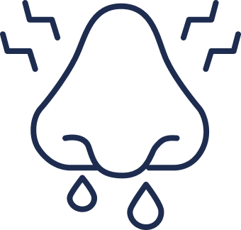 Nose, Sinus & Allergies