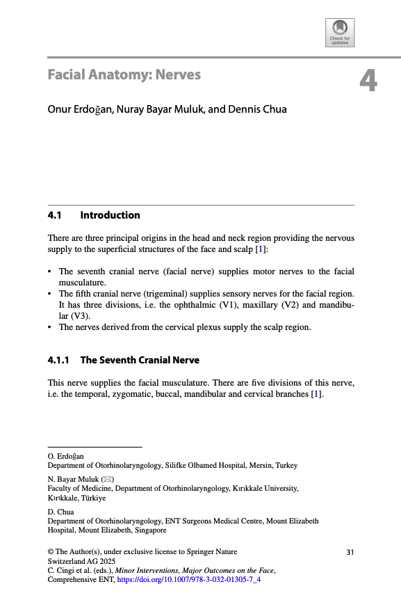 Facial Anatomy Nerves
